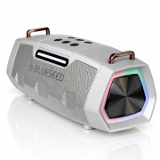 Колонка Bluetooth Blueseed BS-602 silver