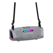 Колонка Bluetooth Blueseed BS-602 silver