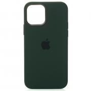 Силиконовый чехол OrigCase "Colors" with MagSafe для iPhone 12 Pro Max Cyprus Green