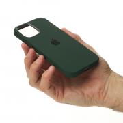 Силиконовый чехол OrigCase "Colors" with MagSafe для iPhone 12 Pro Max Cyprus Green