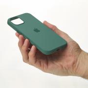 Силиконовый чехол Lux Colors с поддержкой MagSafe для iPhone 13 Pro Max Eucalyptus