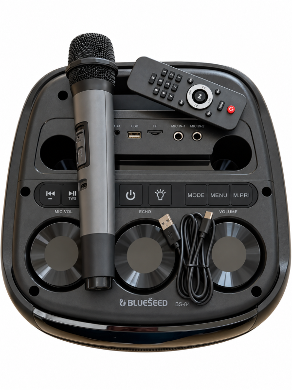 Колонка Bluetooth Blueseed BS-84 black