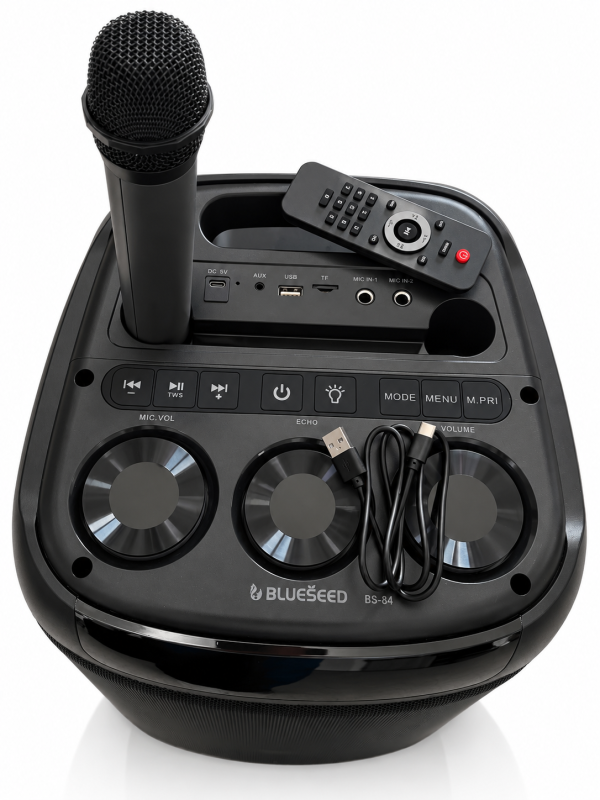 Колонка Bluetooth Blueseed BS-84 black