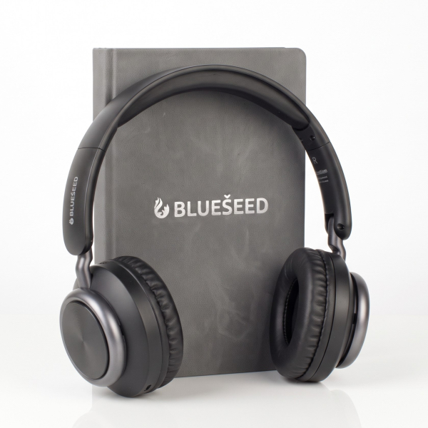 Наушники Bluetooth Blueseed BS-H2 (накладные) black