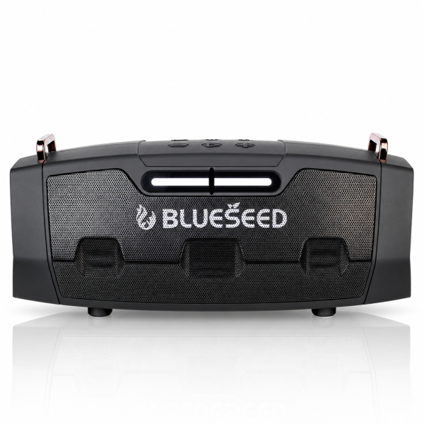 Колонка Bluetooth Blueseed BS-602 black