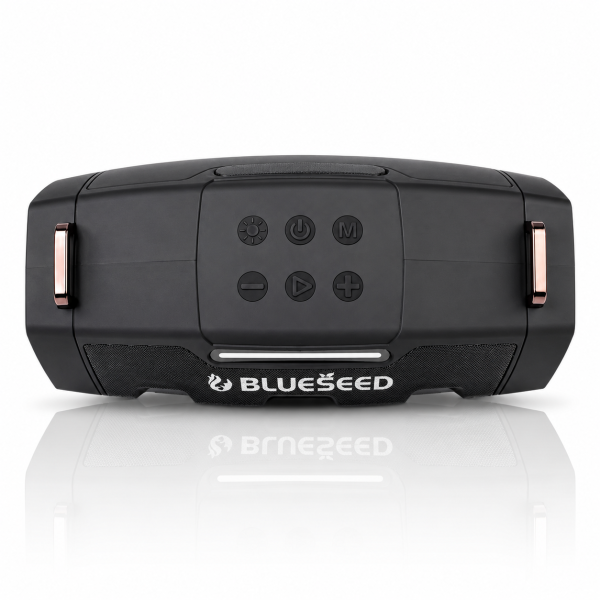 Колонка Bluetooth Blueseed BS-602 black