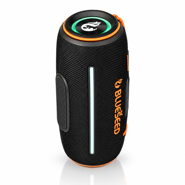 Колонка Bluetooth Blueseed BS-313 black