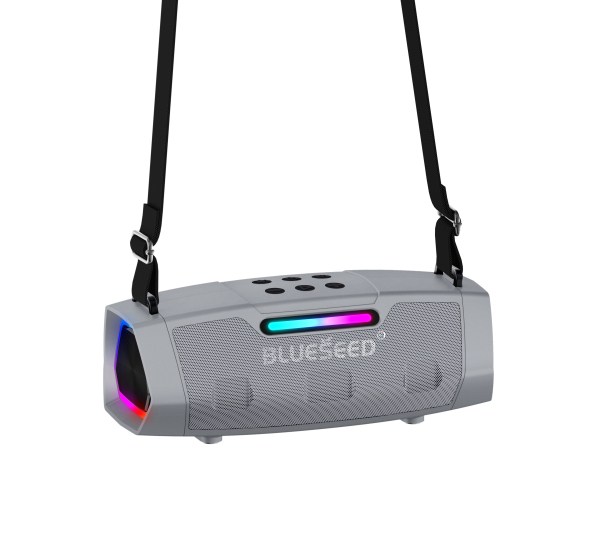 Колонка Bluetooth Blueseed BS-602 silver